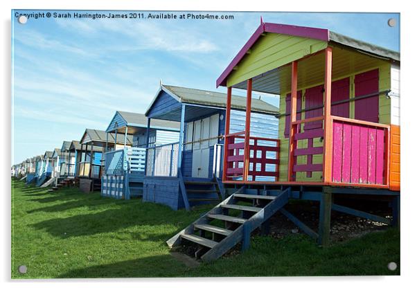 Beach huts at Tankerton, Kent Acrylic by Sarah Harrington-James