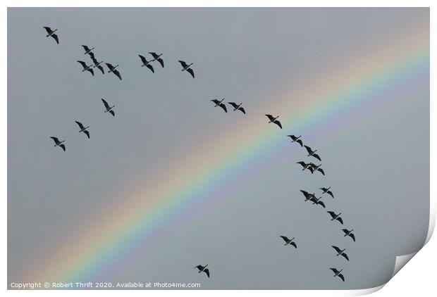 Geese and rainbow, Dee Estuary Print by Robert Thrift