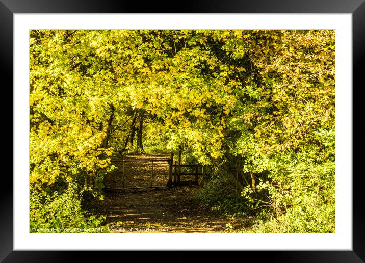 An Autumnal Arch into a wide pathway woodland Framed Mounted Print by Nick Jenkins