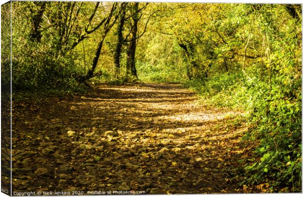 A Path through the Autumn Wood in November Canvas Print by Nick Jenkins