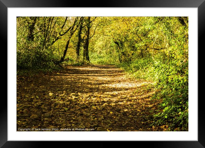 A Path through the Autumn Wood in November Framed Mounted Print by Nick Jenkins