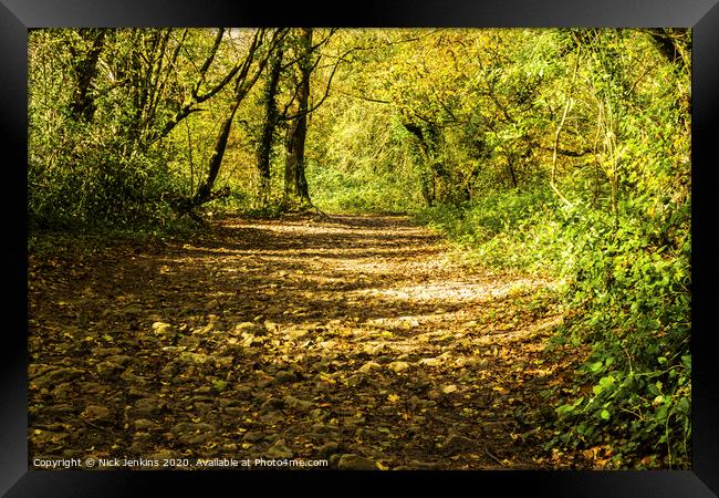 A Path through the Autumn Wood in November Framed Print by Nick Jenkins