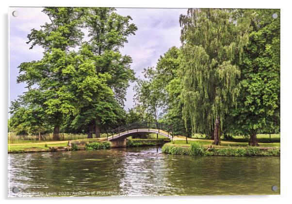 A Footbridge Near Oxford Acrylic by Ian Lewis