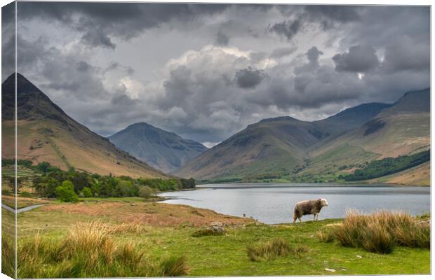 Scafell Pike and Wast Water in the Lake District Canvas Print by Tracey Turner