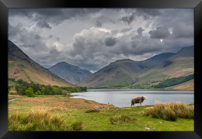 Scafell Pike and Wast Water in the Lake District Framed Print by Tracey Turner