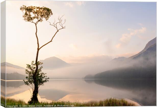 Buttermere lone tree with misty mountains, English Lake District UK Canvas Print by Northern Wild