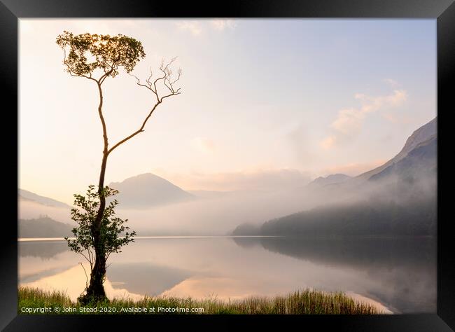 Buttermere lone tree with misty mountains, English Lake District UK Framed Print by Northern Wild