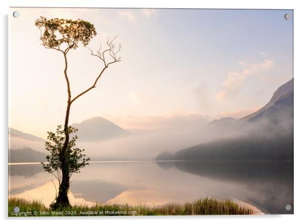 Buttermere lone tree with misty mountains, English Lake District UK Acrylic by Northern Wild