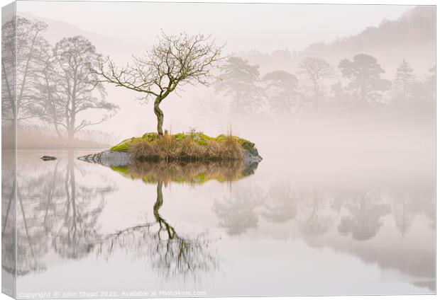 Rydal water lone tree island in the mist. English lake district UK Canvas Print by Northern Wild