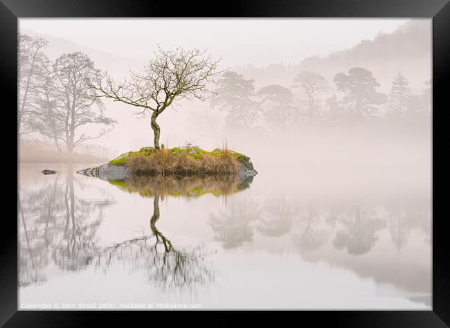 Rydal water lone tree island in the mist. English lake district UK Framed Print by Northern Wild