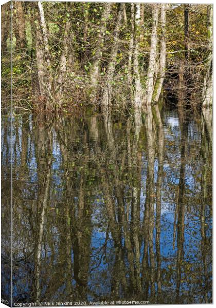 Tree Reflections in a Village Pond Canvas Print by Nick Jenkins