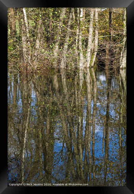 Tree Reflections in a Village Pond Framed Print by Nick Jenkins