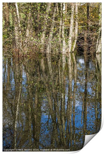 Tree Reflections in a Village Pond Print by Nick Jenkins