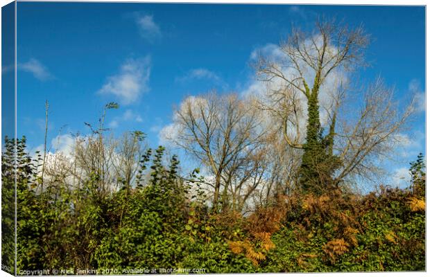 Autumn Hedgerow in Country Lane Cardiff Canvas Print by Nick Jenkins
