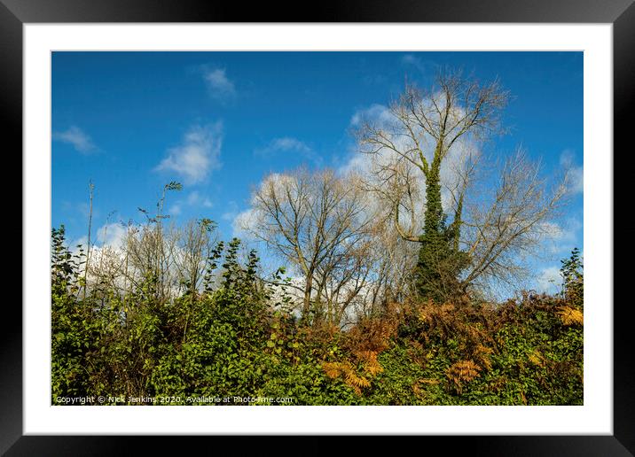 Autumn Hedgerow in Country Lane Cardiff Framed Mounted Print by Nick Jenkins