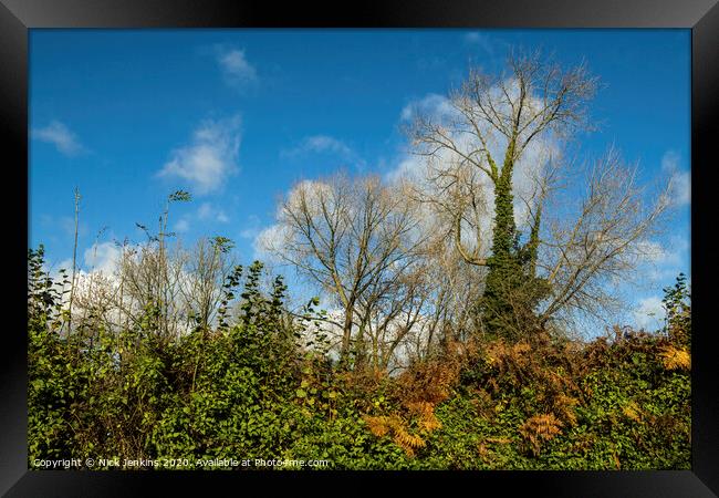 Autumn Hedgerow in Country Lane Cardiff Framed Print by Nick Jenkins