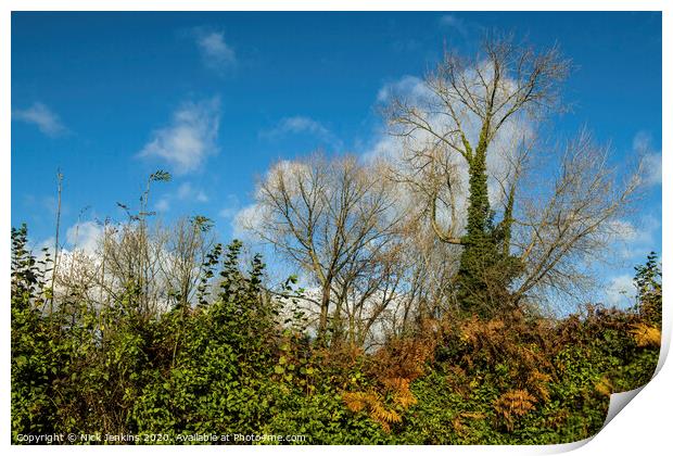 Autumn Hedgerow in Country Lane Cardiff Print by Nick Jenkins
