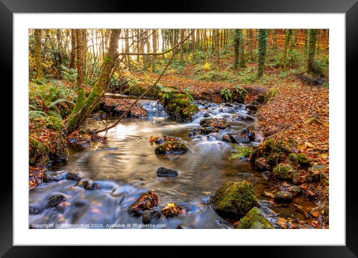 Autumn in the Forest Framed Mounted Print by jim Hamilton