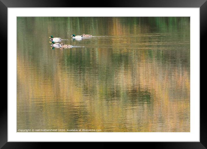 Autumn Reflections On Steppe's Pond, Morval, Near  Framed Mounted Print by Neil Mottershead