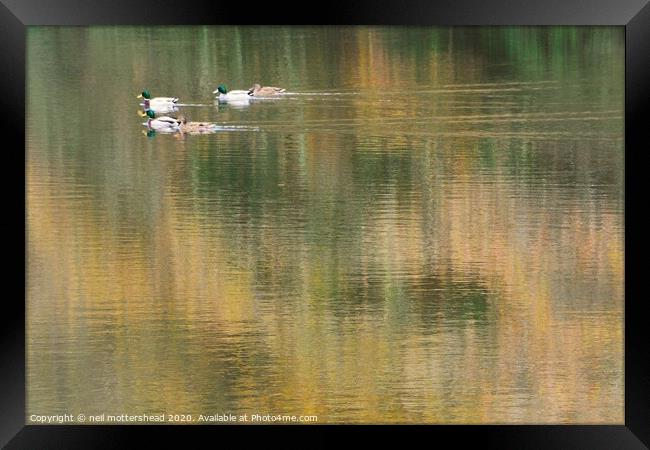 Autumn Reflections On Steppe's Pond, Morval, Near  Framed Print by Neil Mottershead