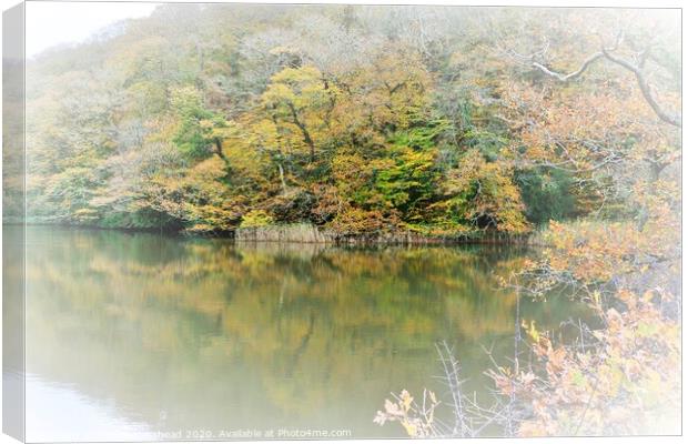 Autumn Colours On Steppe's Pond, Morval, Near Looe Canvas Print by Neil Mottershead