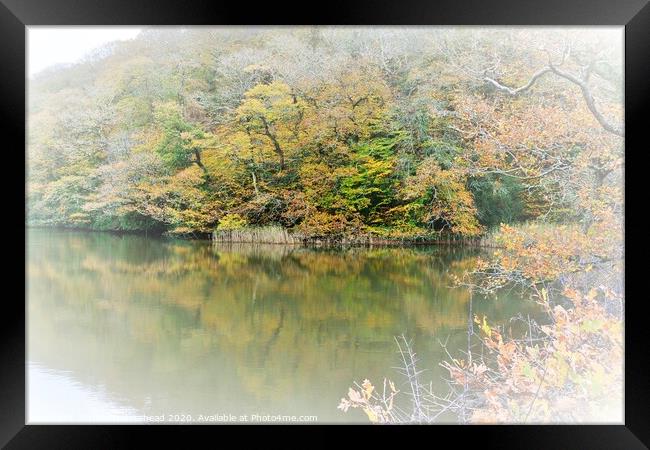 Autumn Colours On Steppe's Pond, Morval, Near Looe Framed Print by Neil Mottershead