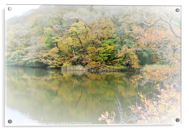 Autumn Colours On Steppe's Pond, Morval, Near Looe Acrylic by Neil Mottershead