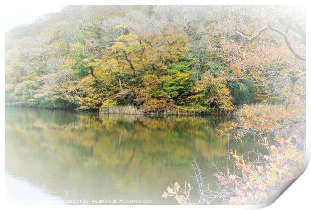 Autumn Colours On Steppe's Pond, Morval, Near Looe Print by Neil Mottershead