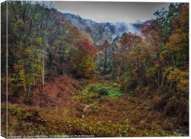 Autumn in the Smoky Mountains Canvas Print by Judy Hall-Folde