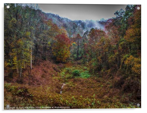 Autumn in the Smoky Mountains Acrylic by Judy Hall-Folde