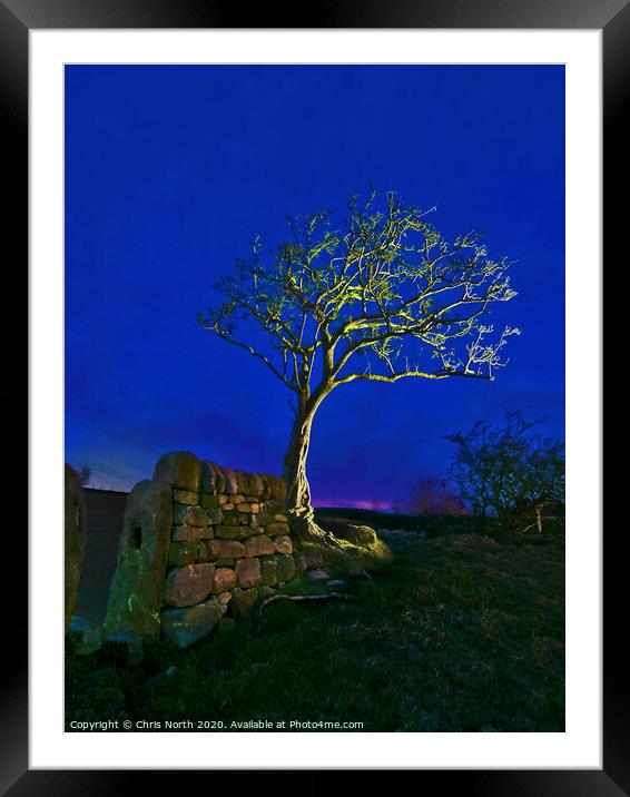 Twilight tree. Framed Mounted Print by Chris North