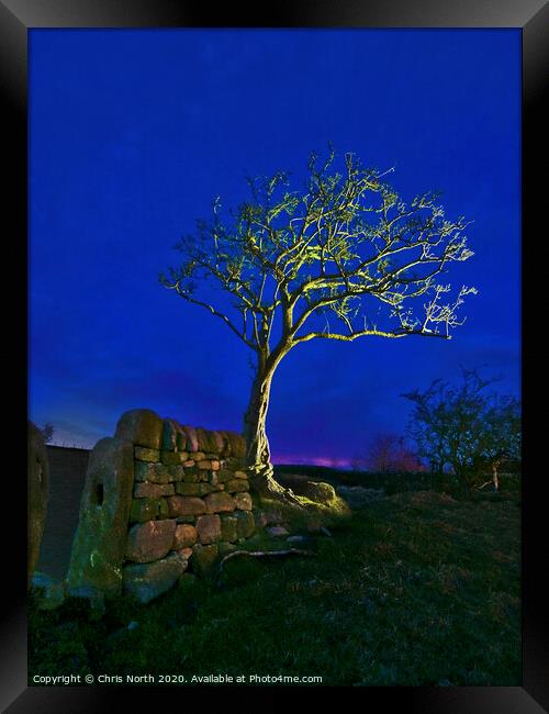 Twilight tree. Framed Print by Chris North