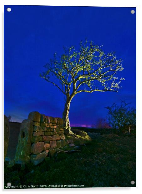 Twilight tree. Acrylic by Chris North