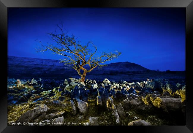 Tree and limestone pavement. Framed Print by Chris North