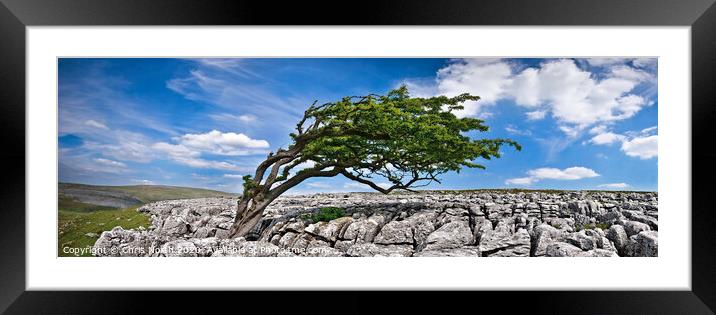 Limestone pavement at Twisleton scar. Framed Mounted Print by Chris North
