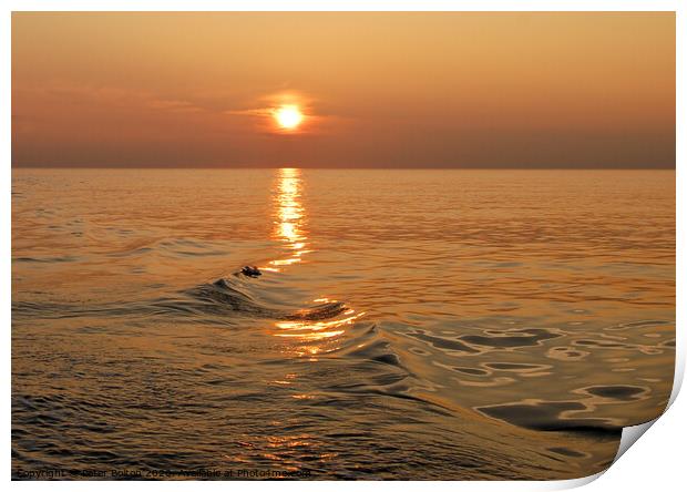 Sun setting over the Mediterranean Sea. Print by Peter Bolton
