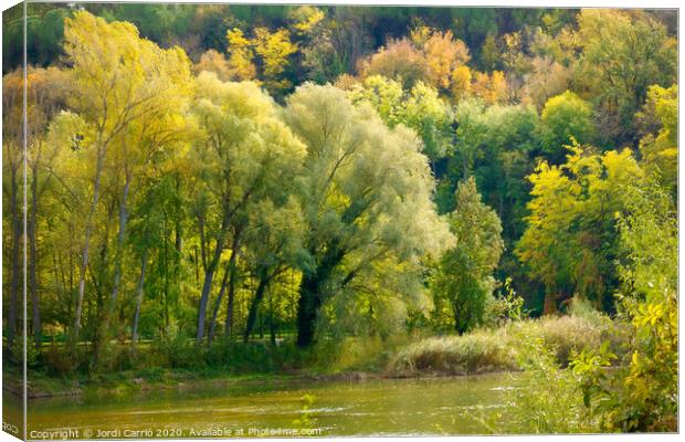 Autumn landscapes in the river Ter. Osona, Catalon Canvas Print by Jordi Carrio