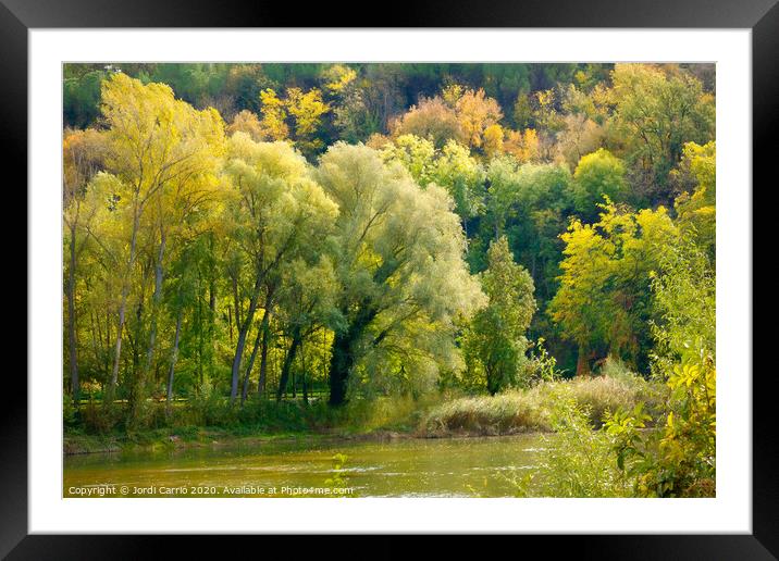 Autumn landscapes in the river Ter. Osona, Catalon Framed Mounted Print by Jordi Carrio