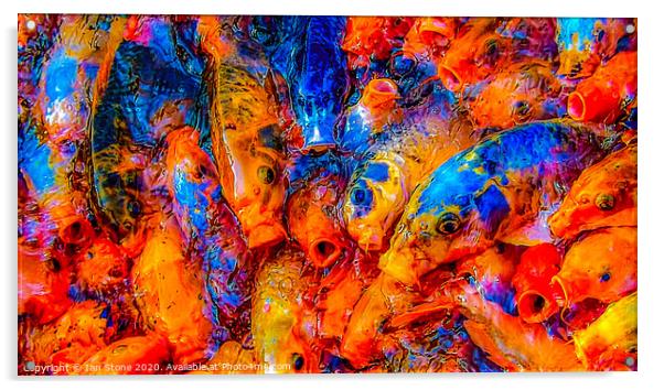 Fish Feeding frenzy  Acrylic by Ian Stone