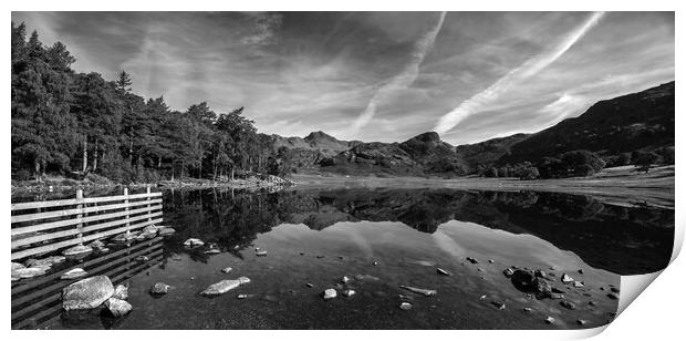 Blea Tarn Reflections, The Lake District Print by Dan Ward