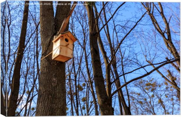 A new nesting box hung on an oak in a spring forest Canvas Print by Sergii Petruk