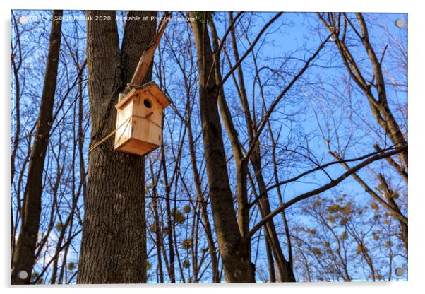 A new nesting box hung on an oak in a spring forest Acrylic by Sergii Petruk