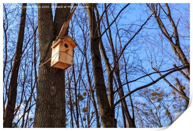 A new nesting box hung on an oak in a spring forest Print by Sergii Petruk