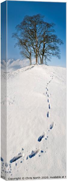 Footsteps to snowy trees at Stoirths. Canvas Print by Chris North