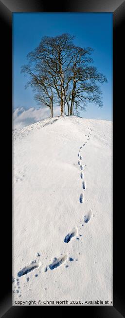 Footsteps to snowy trees at Stoirths. Framed Print by Chris North