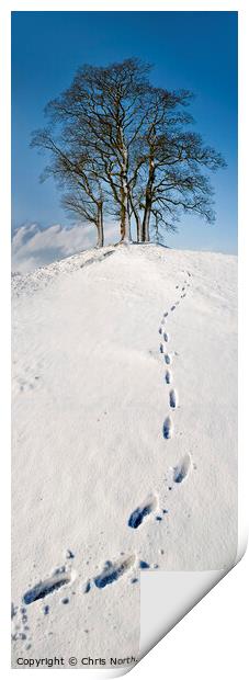 Footsteps to snowy trees at Stoirths. Print by Chris North