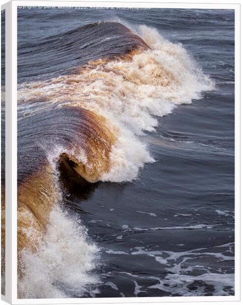 The Arch Wave Canvas Print by Peter Lennon