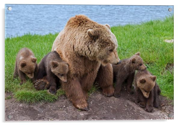 Brown Bear with Cubs Acrylic by Arterra 