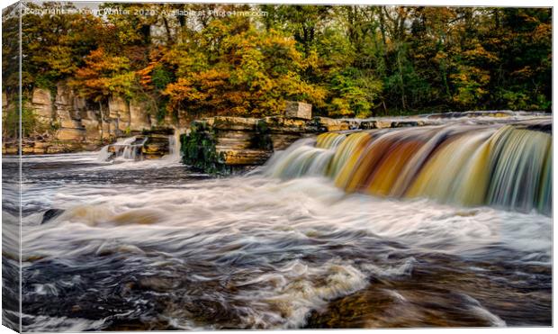 Autumnal Richmond Falls Canvas Print by Kevin Winter