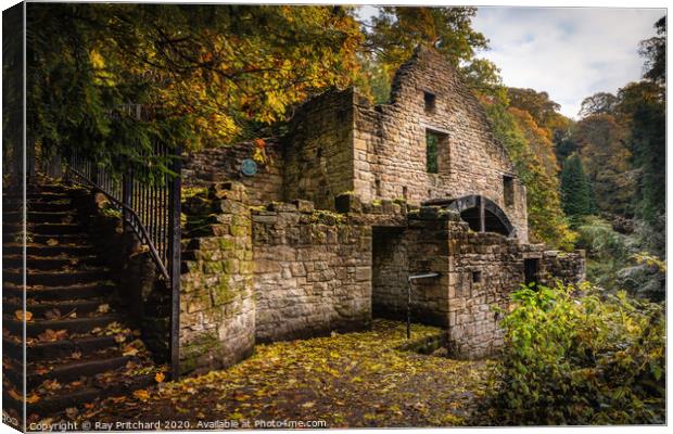 Old Mill at Jesmond Dene Canvas Print by Ray Pritchard